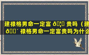 建禄格男命一定富 🦈 贵吗（建 🐴 禄格男命一定富贵吗为什么）